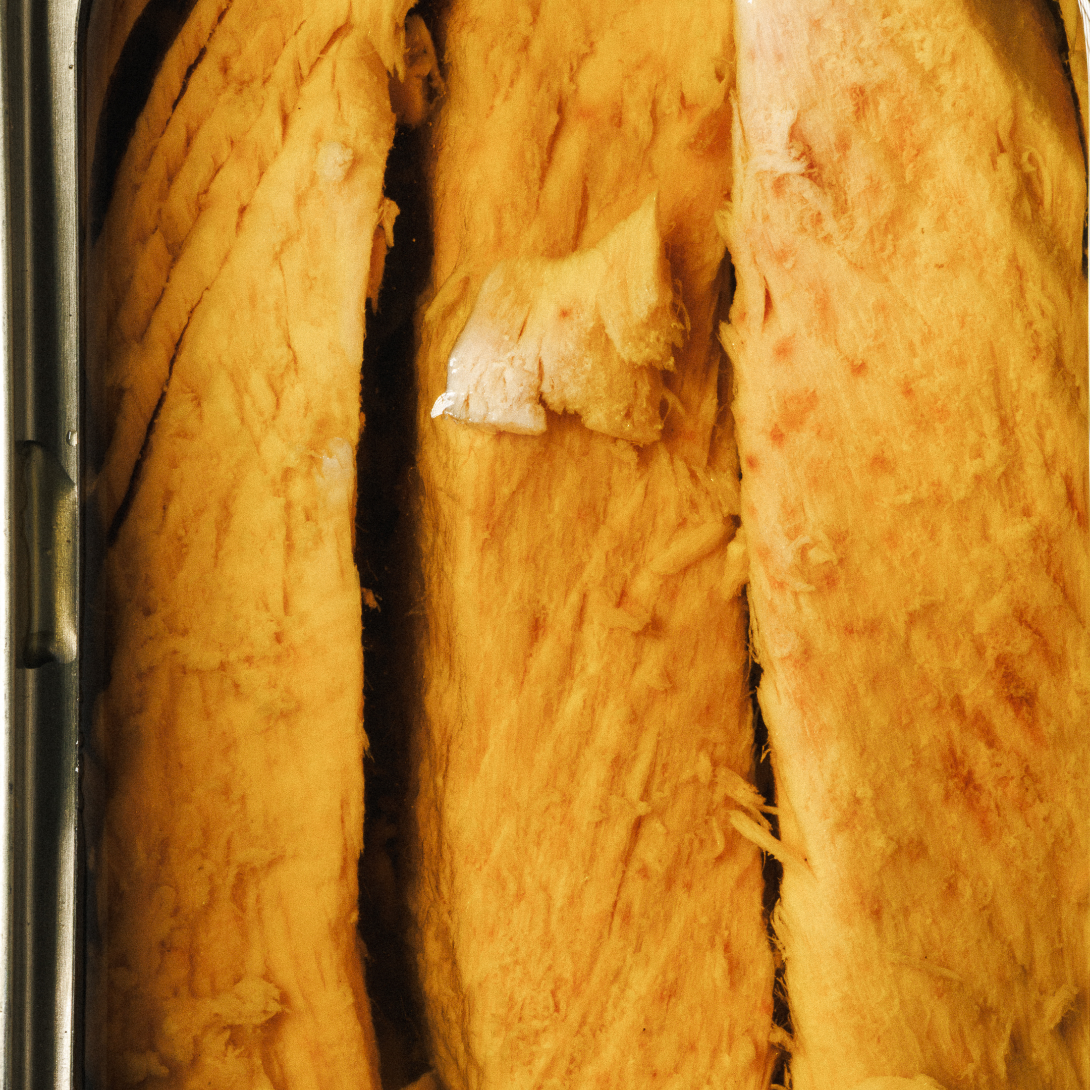 Filetes de Atum em Azeite 1